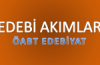 Önizleme