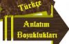 Önizleme